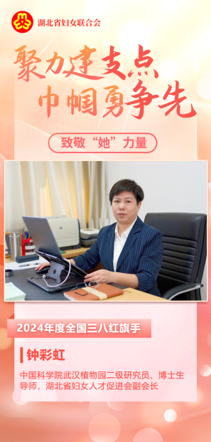 聚力建支点 巾帼勇争先丨致敬“她”力量（10）钟彩虹：金果满枝映初心，猕猴桃里写传奇